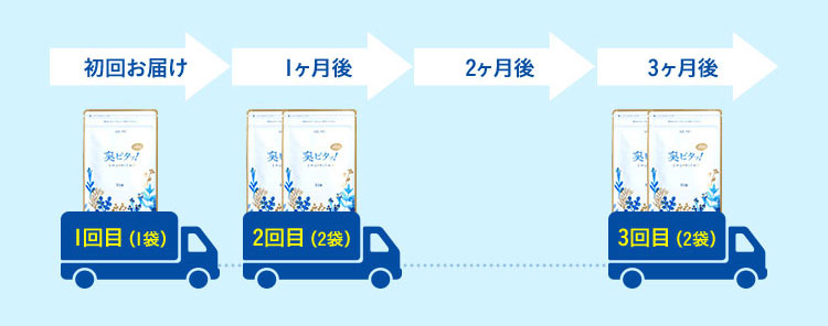 初回お届け 1回目(1袋) 1ヶ月後 2回目(2袋) 2ヶ月後 3ヶ月後 3回目(2袋)
