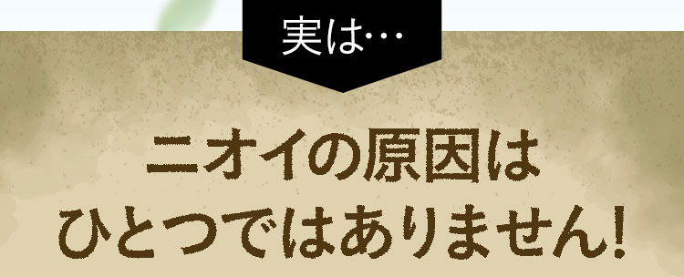 実は… ニオイの原因は ひとつではありません！